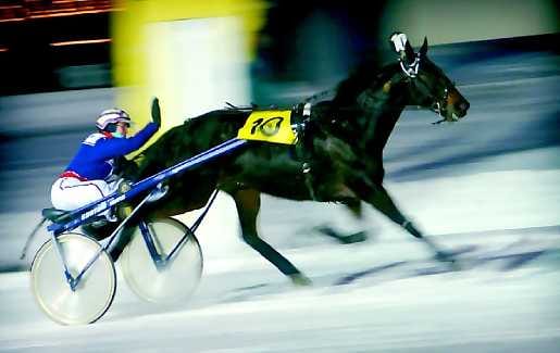 Hyvä poika. Riina Rekilällä oli varaa kiitellä Baron Crownia jo maaliviivalla. Voitto oli sanalla sanoen ylivoimainen.