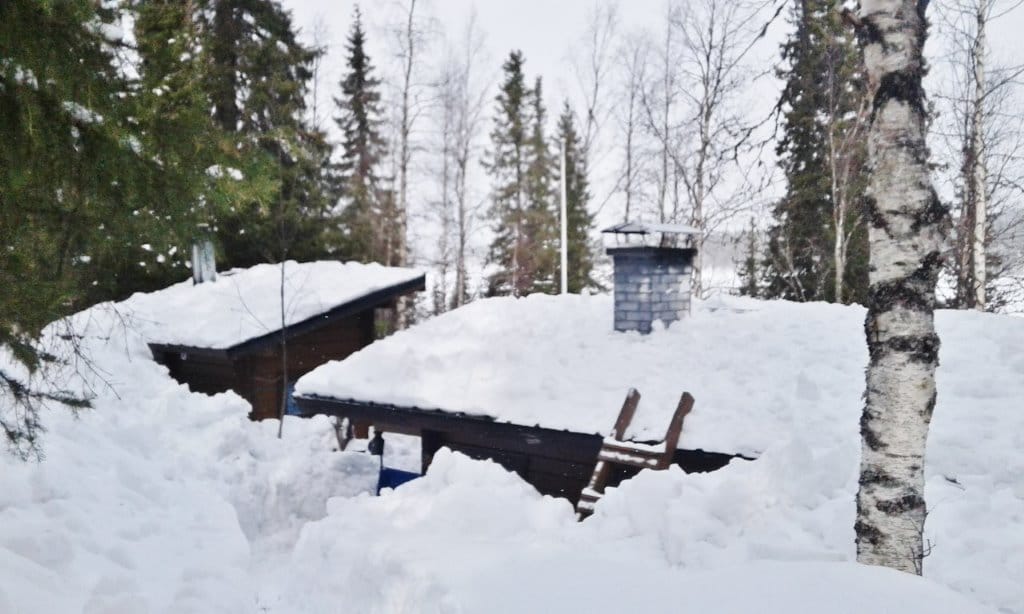 Ei ole ruohikkopalon vaaraa vielä pitkään aikaan