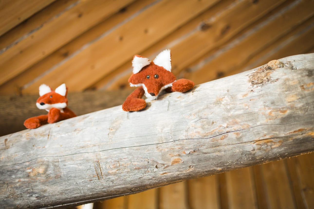 Luontoharrastus näkyy Siiramien mökin sisustuksessa. Välipohjan kannattimien päältä kurkkivat kettupehmolelut, seinillä on karhuaiheisia tauluja ja takanreunalla sydämenmuotoisia kiviä.