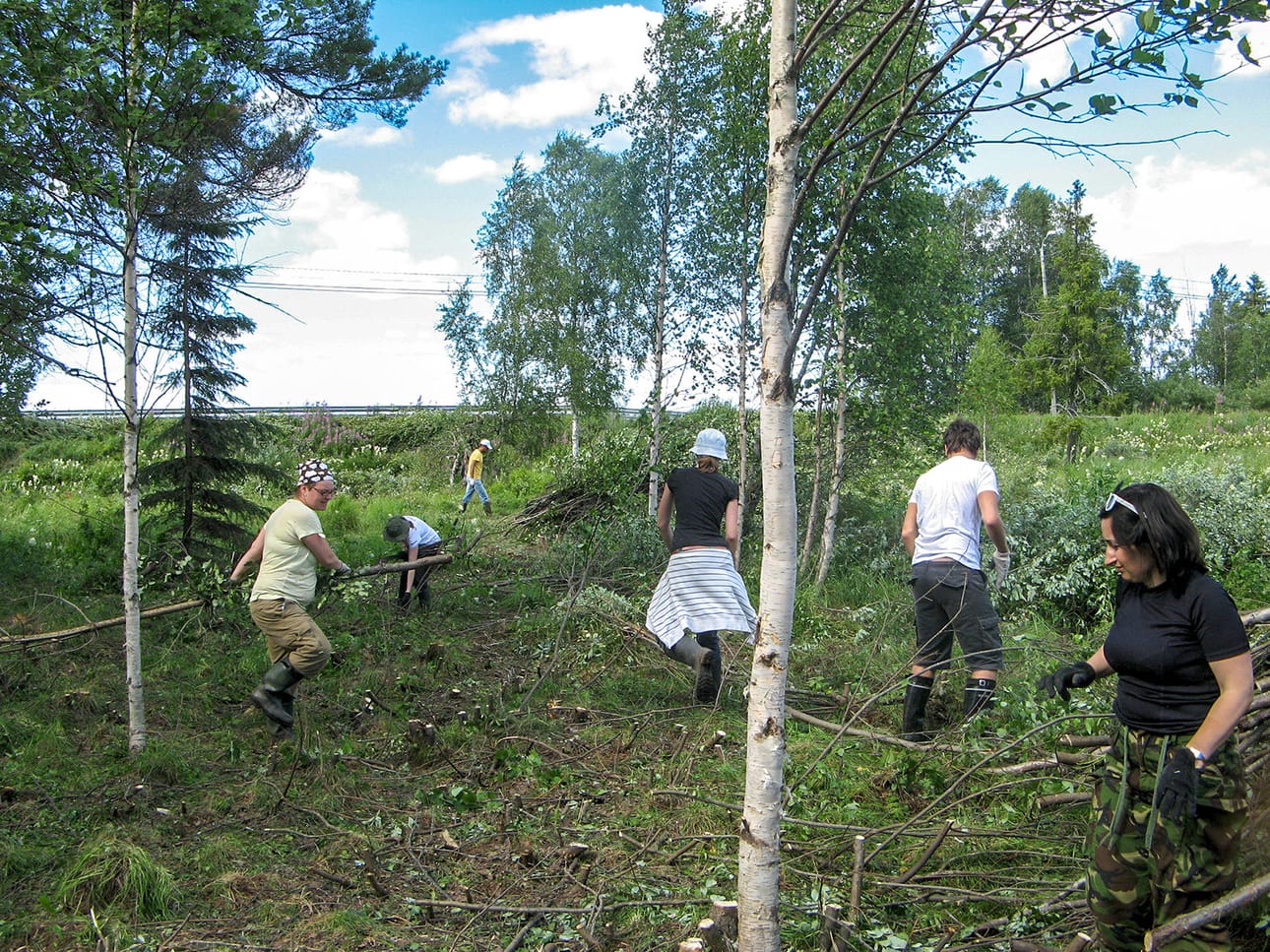 Laidunalue ennen raivausta heinäkuussa 2013.