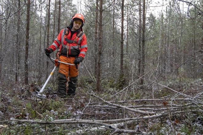 Sulkavankylän suunnalla metsuri Juha Niemi on pyörinyt hommissa lokakuun alusta. Enimmäkseen mies on huudattanut sahaansa Seinäjoella ja sen naapurikunnissa. Metsurin työn hyviä puolia ovat Niemen mukaan työskentely ulkona ja oma rauha. Työ käy myös kuntoilusta. Huonot puolet ovat lumi ja talvi, tietyllä lailla yksinäisyys. Kesällä kiusaavat ampiaiset ja paarmat sekä syksyllä hirvikärpäset. KUVAT: JARI KARJANMAA