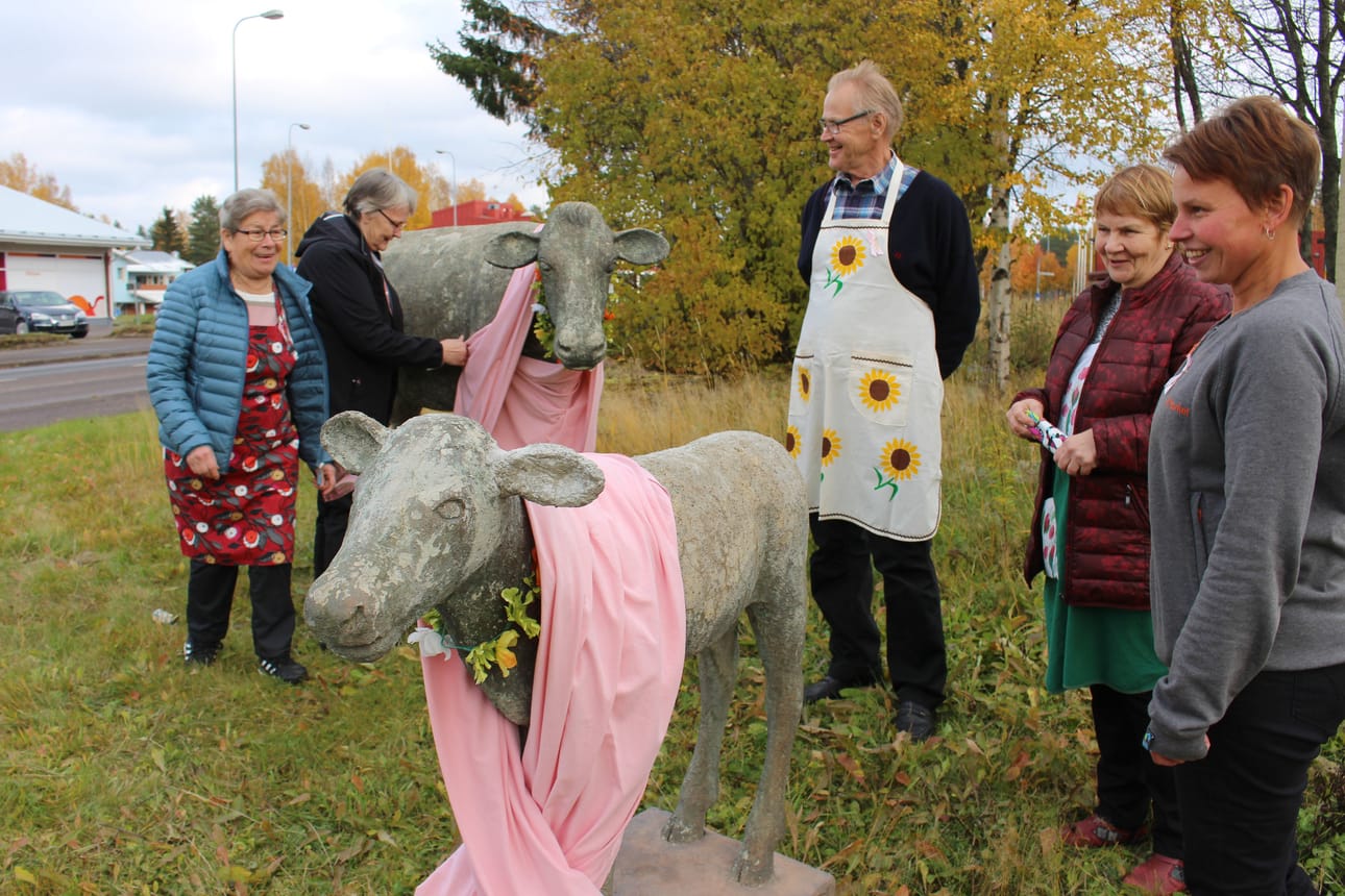 Rantsilan syöpäkerho tempaisi Roosanauhapäivän kunniaksi järjestämällä yhteistyössä Rantsilan K-marketin kanssa kahvituksen ja pukemalla Mansikin ja Helmikin roosaan. Kaulahuivien lehmän ja vasikan suojana pysymistä kävivät varmistamassa Pirkko Lämpsä, Elli Rasi, Veikko Koksalo, Auli Laurila ja Hanna Tolonen.