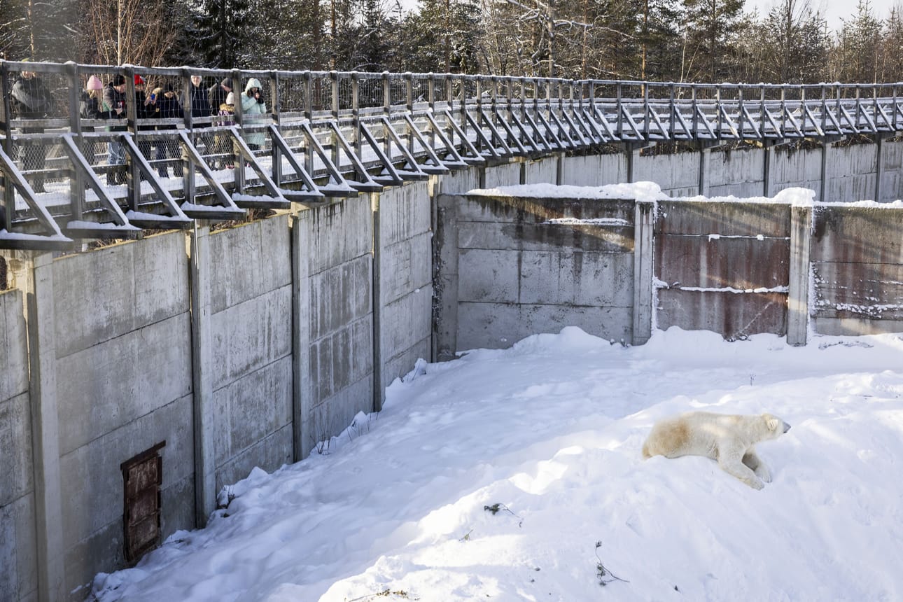 Vielä ei ole tietoa, pääsisivätkö elämysmatkailijat yöpymään seinän takana jääkarhu, vai sijoittuisivatko rakennukset etäämmälle.