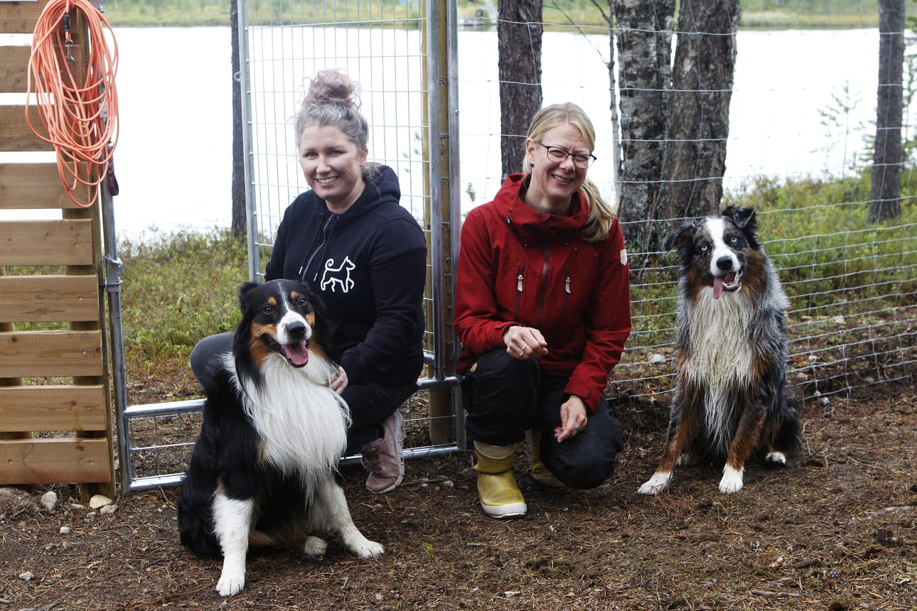Ivalon koirametsästä löytyy uittopaikka pienen Jäkäläjärven rannalta. Sen edustalla yrittäjä Elina Mantila (vas.) ja asiakas Laura Ruotsalainen, jolla on mukana australianpaimenkoirat Lamar (vas.) ja uimassa käynyt Marlon.