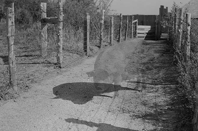 Kuva: Laura Gustafsson & Terike Haapoja