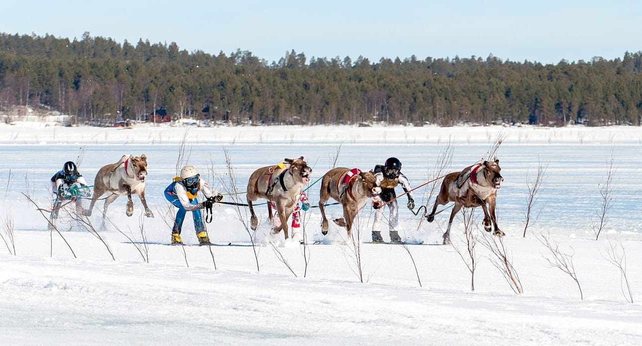 Esko Aholan omistama Tummanopsa (oik.) ohjaksissa Marko Tervaniemi ja Airi Tuomivaaran Jeti (vas.) ajajana Jani Ruokamo kisasivat lauantaina aika-ajossa samassa erässä.