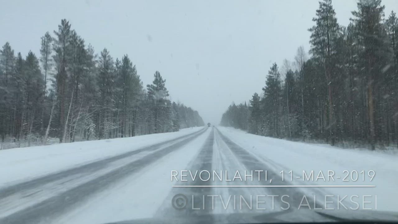 Lukijan hurja video: Sudet juoksevat kasitien  yli Revonlahdella