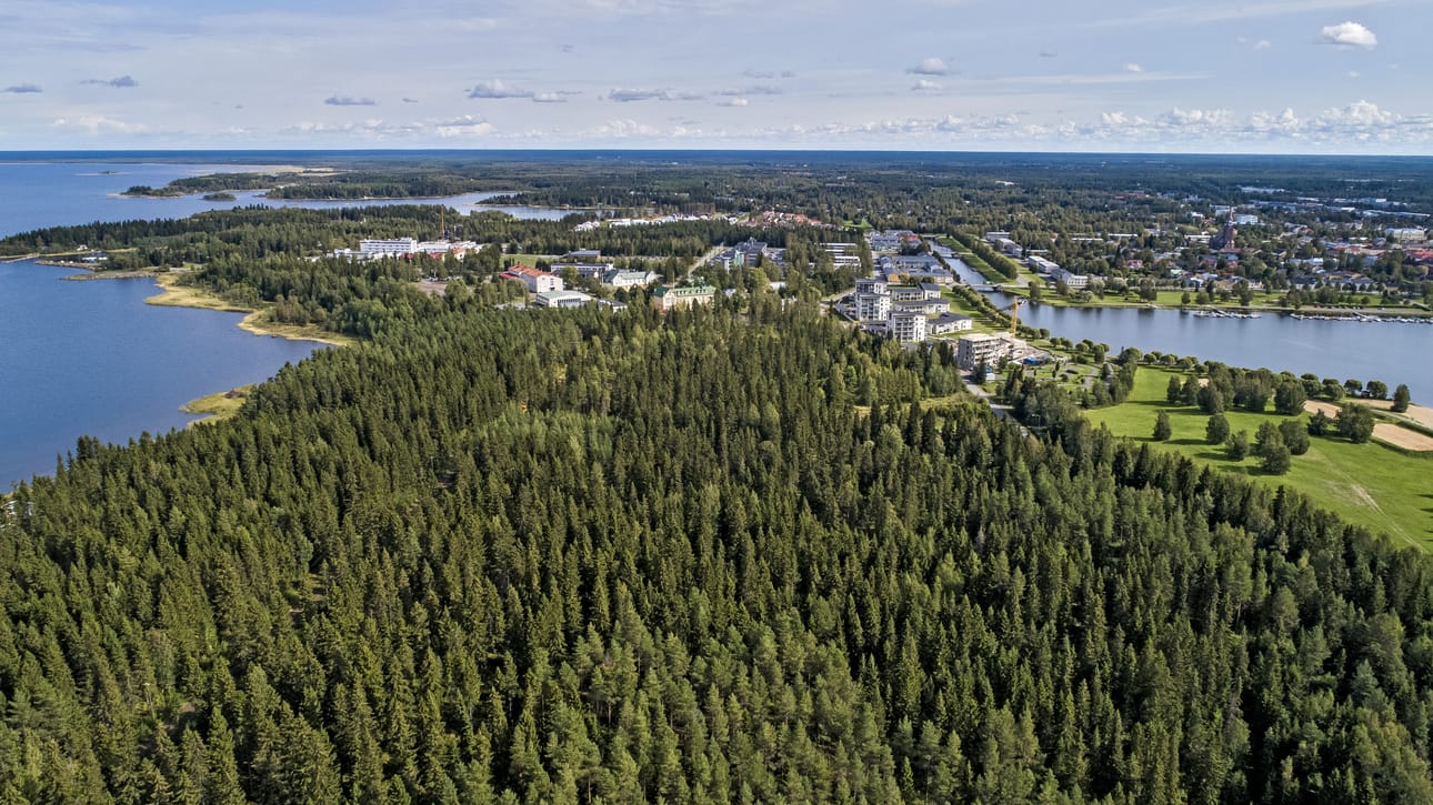 Kaupunginlahdenrantaan tulee asumisalue. Kaupunkilaiset pääsevät vaikuttamaan siihen, millainen alue sinne nousee.