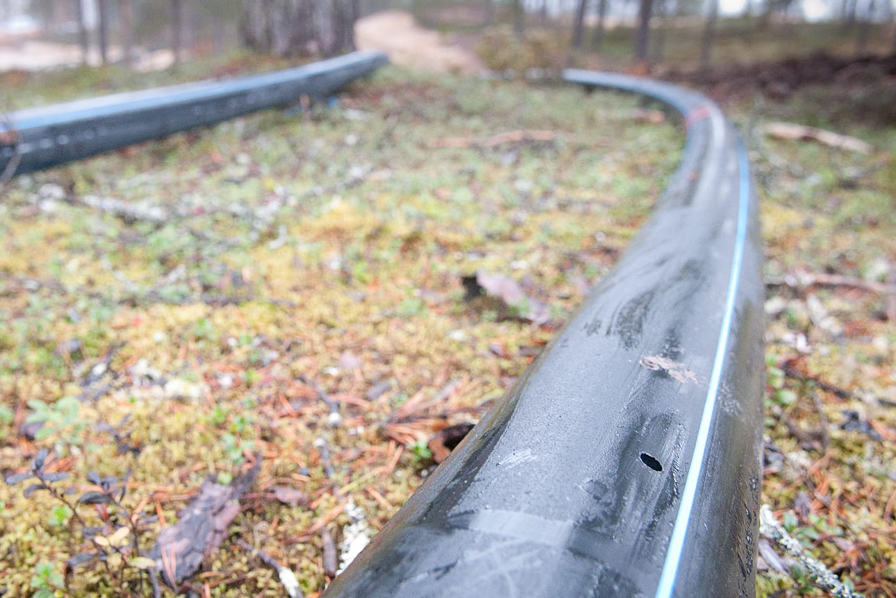 Vahingontekijät ovat poranneet kahdeksan millin terällä reikiä kastelujärjestelmän runkoputkiin.