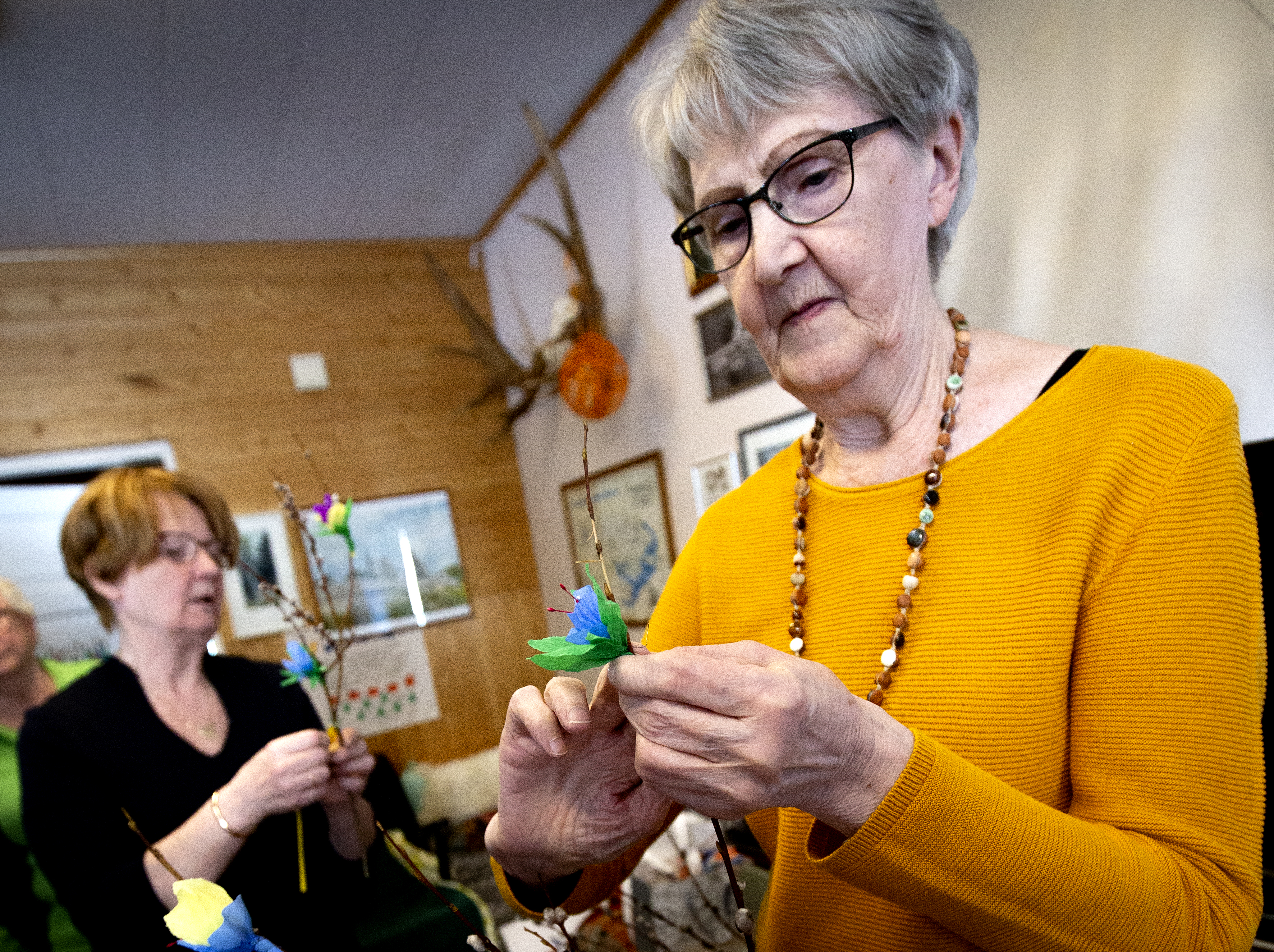 Paavolan Karjalaseura koristeli virpovitsoja. Ellen Pesonen ja Liisa Tajakka kiinnittävät kreppipaperista tehtyjä kukkasia pajunoksiin.