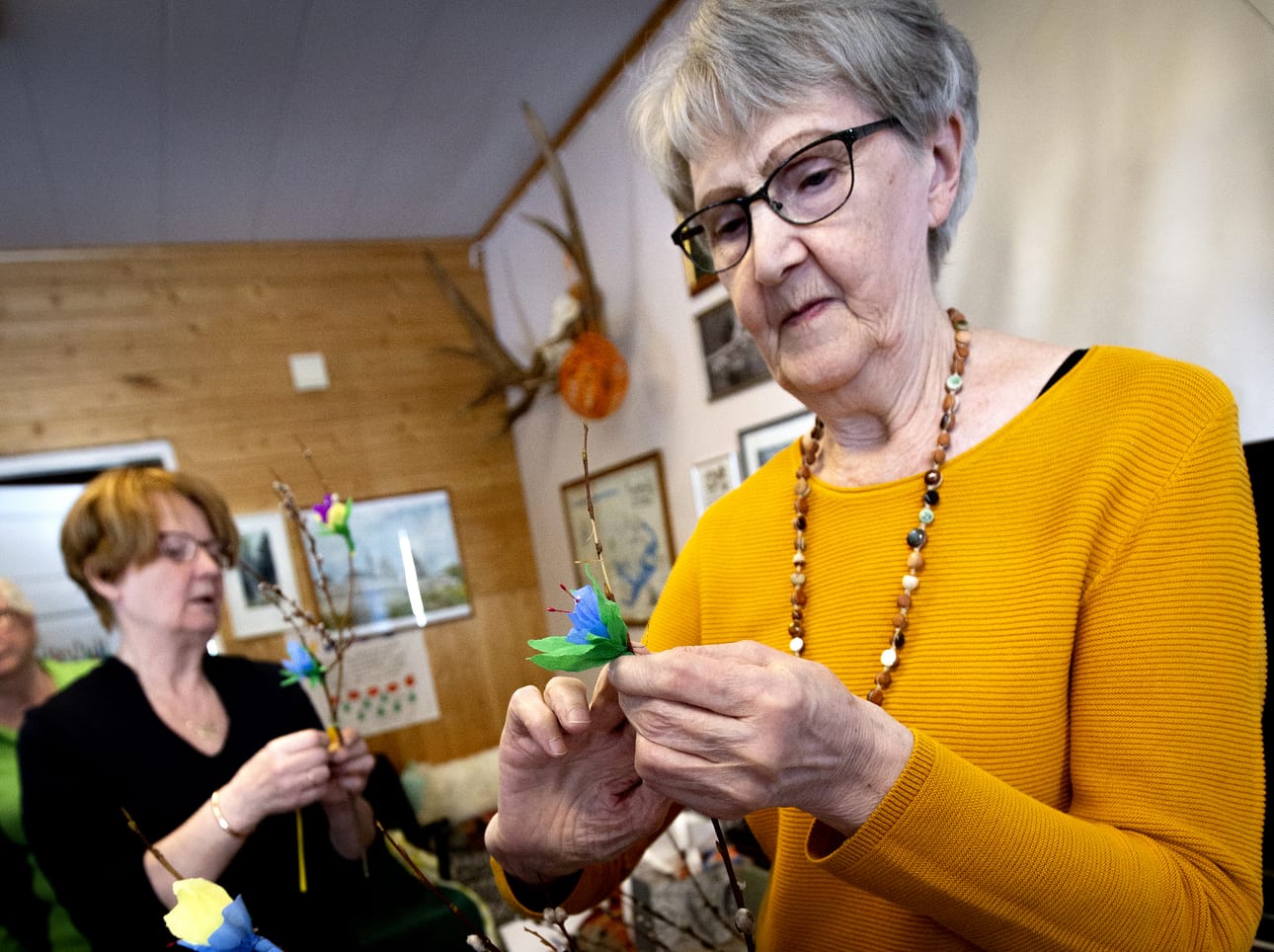 Paavolan Karjalaseura koristeli virpovitsoja. Ellen Pesonen ja Liisa Tajakka kiinnittävät kreppipaperista tehtyjä kukkasia pajunoksiin.