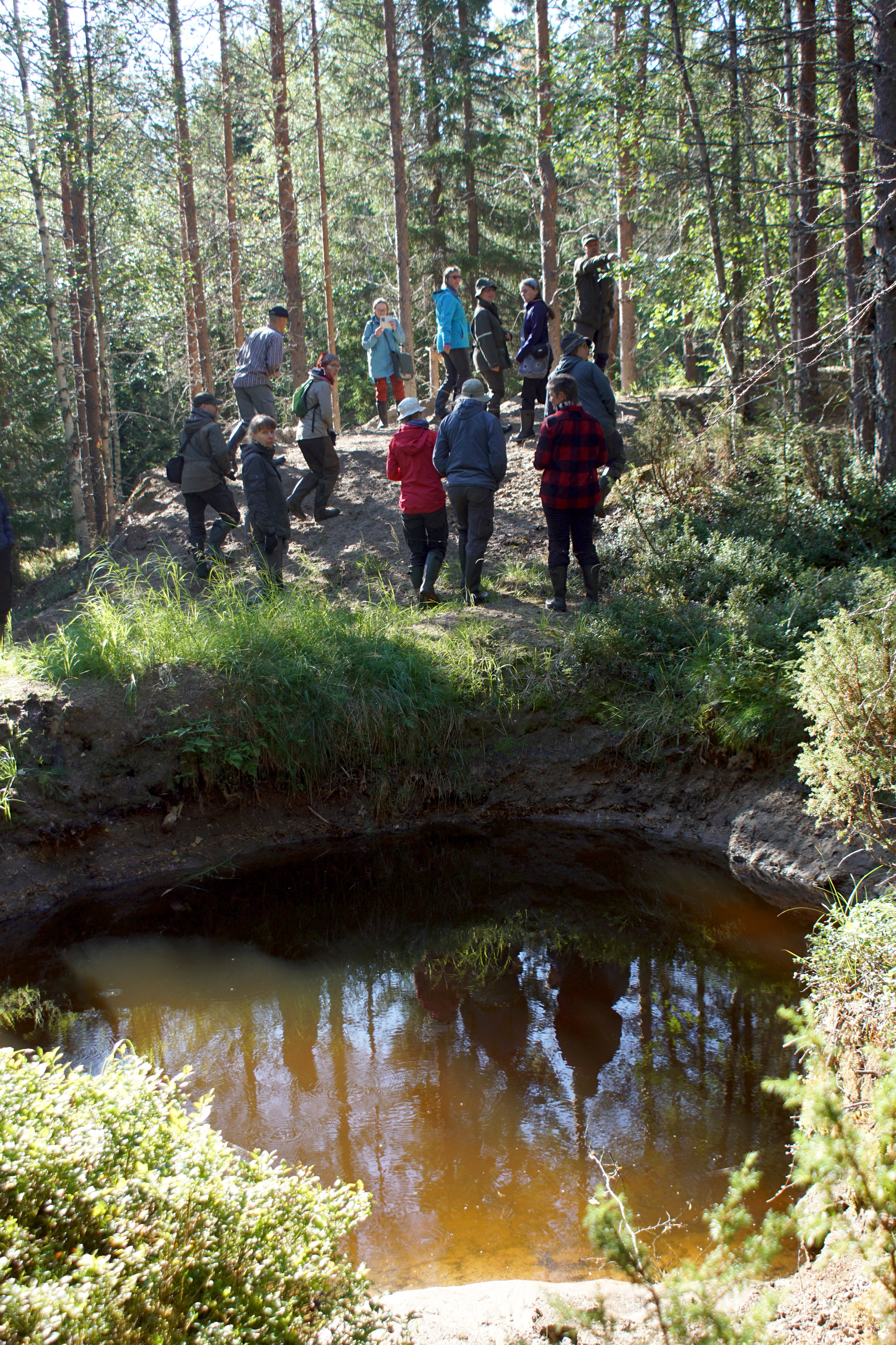 Hankkeessa on mukana myös Metsähallitus Metsätalous oy, jonka metsänviljelyalueelle tehtyä laskeutusallasta vieraille myös esiteltiin.