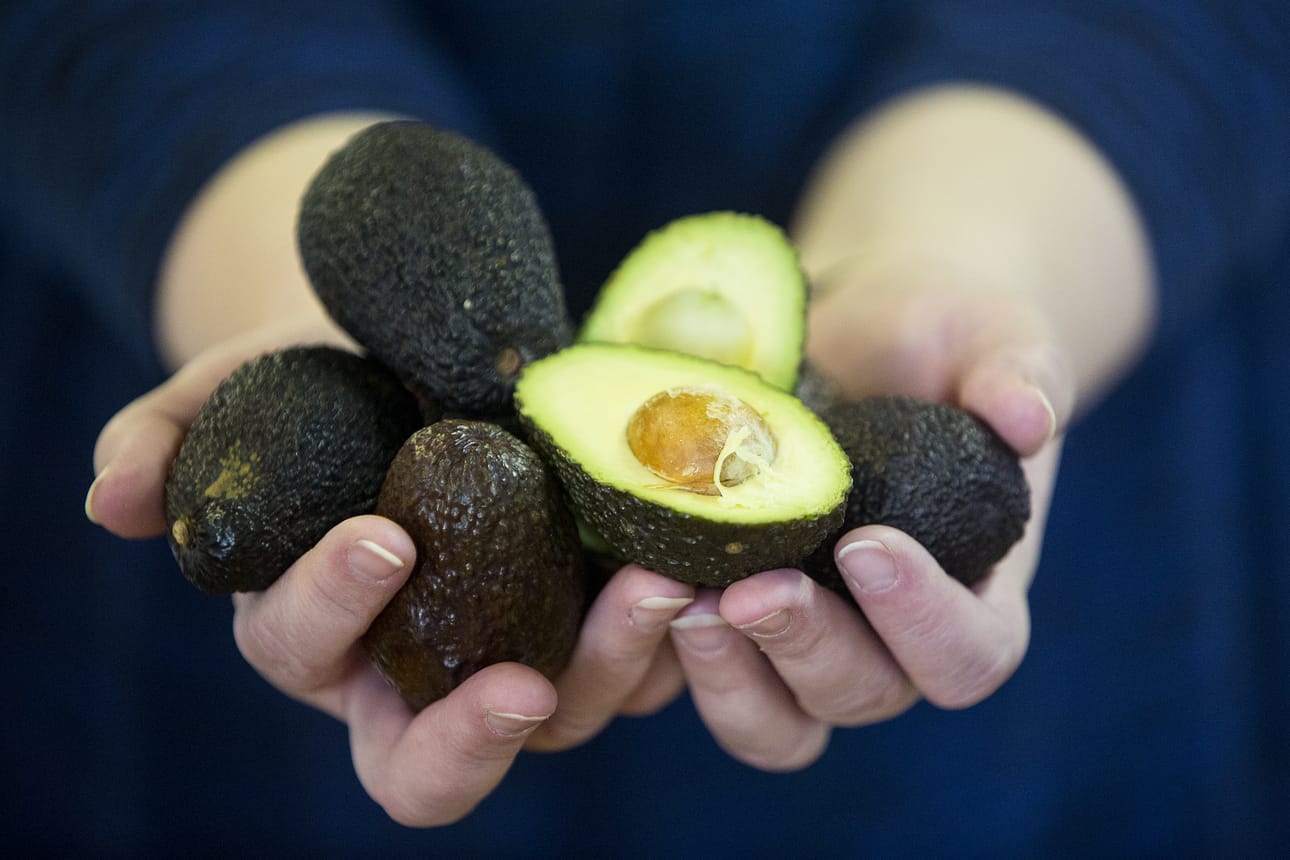 Avokado on parasta avata leikkaamalla hedelmä pystysuunnassa halki. Avokado on oiva pehmeän rasvan ja kaliumin lähde.