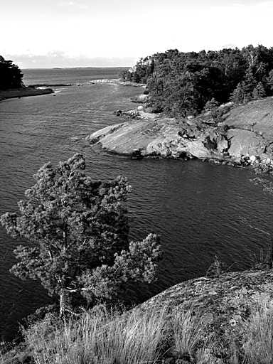 Saaristomeren näkymät ovat kauniita etenkin kaukaa katsottuna. Kävely ravinteiden rehevöittämälle rannalle pilaa usein luentoelämyksen.