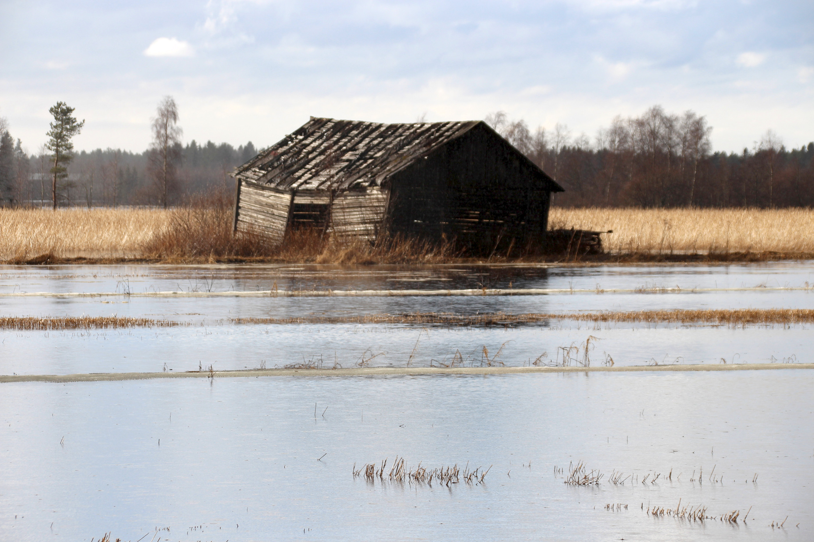 Paavolan ja Ruukin välillä heinälato jäi veden saartamaksi, kun vettä oli isontien varrella kahta puolen tietä.