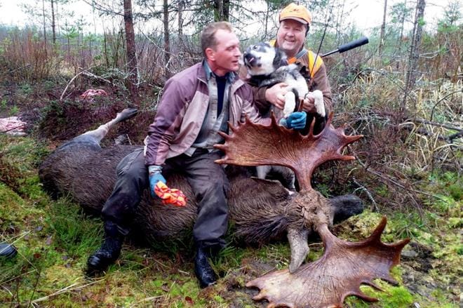 Petri Syrjä-Kokkila kiittelee Tapio Takasen Ruka-koiraa, joka löysi kaatuneen jättiläisen 180 metrin päästä ampumapaikalta. KUVA: PETRI SYRJÄ-KOKKILAN ALBUMI