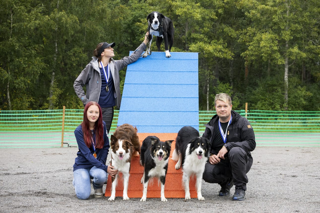 Anders Stens (oik.), Iris Niemistö ja Katja Valkki saivat kultaa viikonloppuna Jyväskylässä järjestetyistä SM-kilpailuista. Mukana olivat bordercolliet Thilde (vas.), Zebb, Zazu ja Rontti.