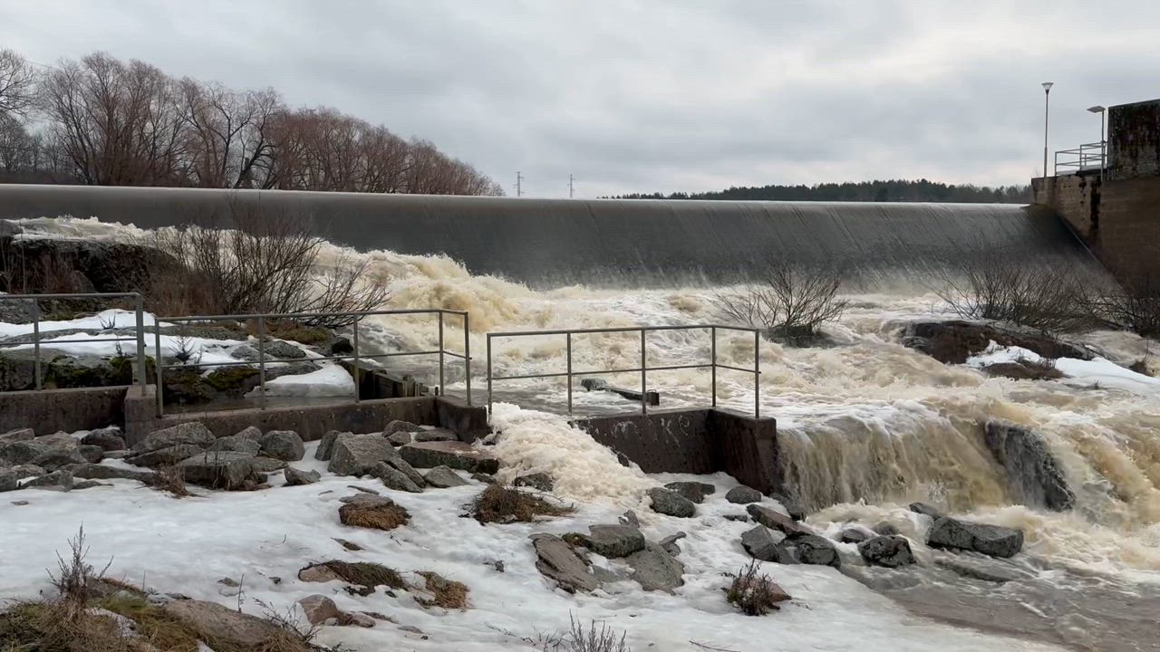 Tulviva ja pauhaava koski. Halistenkoski, Turku 2.3.2024 Klo:12.30