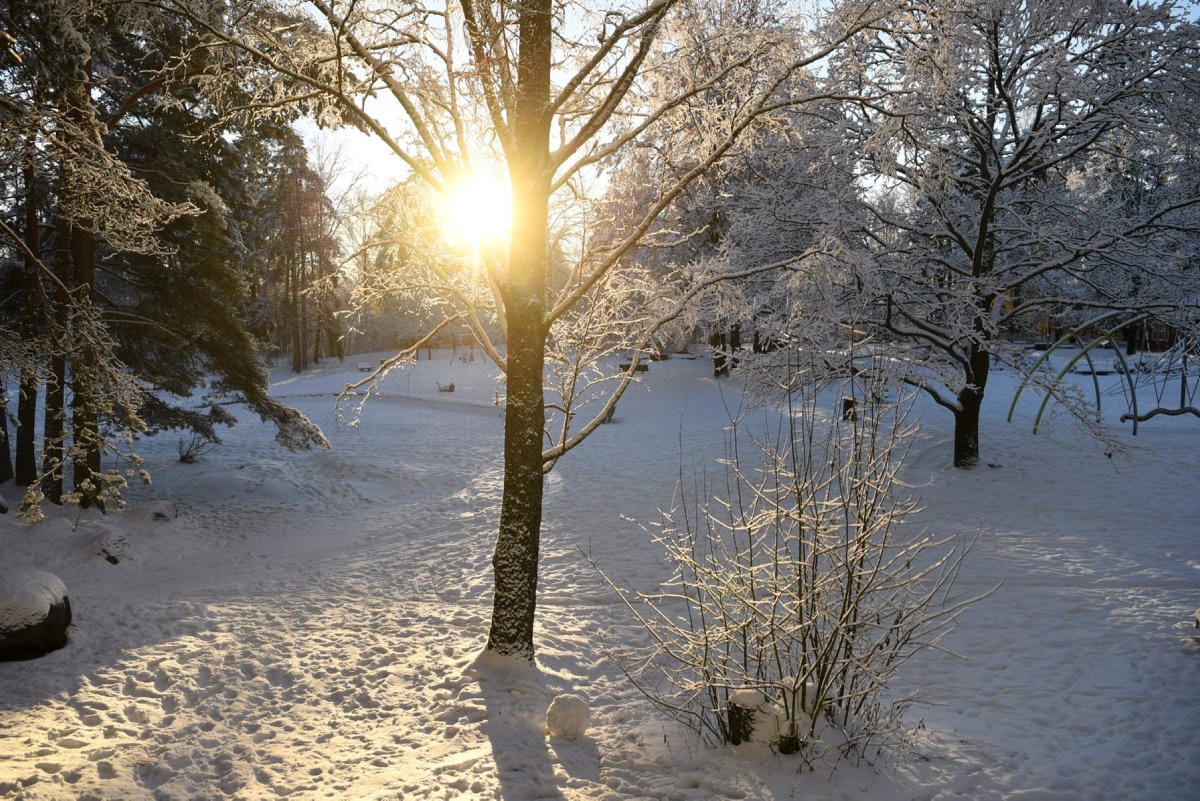 Perjantaina koko maahan on luvassa osittain aurinkoista säätä. LEHTIKUVA / ANTTI AIMO-KOIVISTO