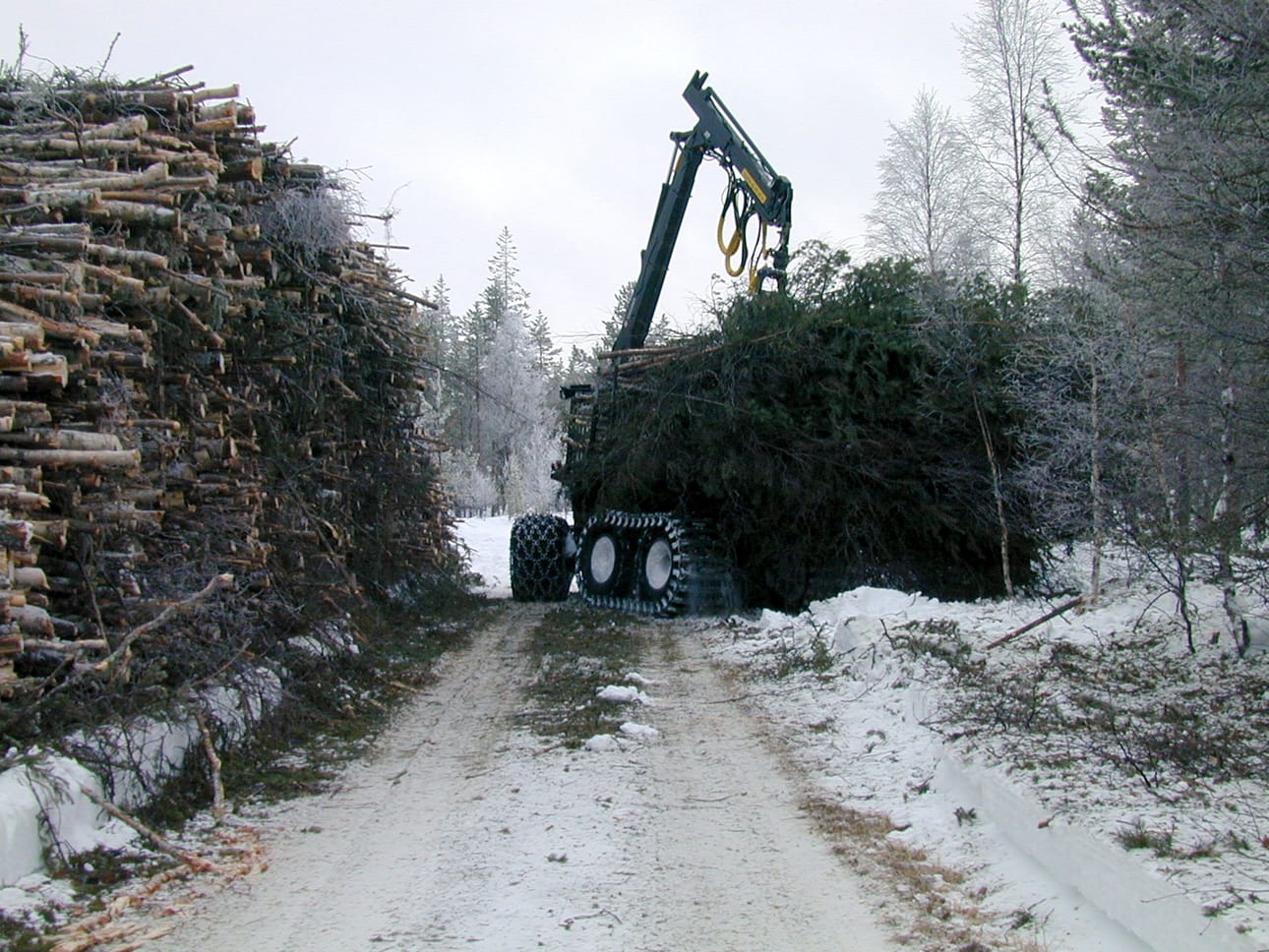 Risusavotat yleistyvät tulevaisuudessa, mikäli kaavailtu energiapuutuki toteutuu. Se tietää työtä ja tuloa myös Koillismaalle.