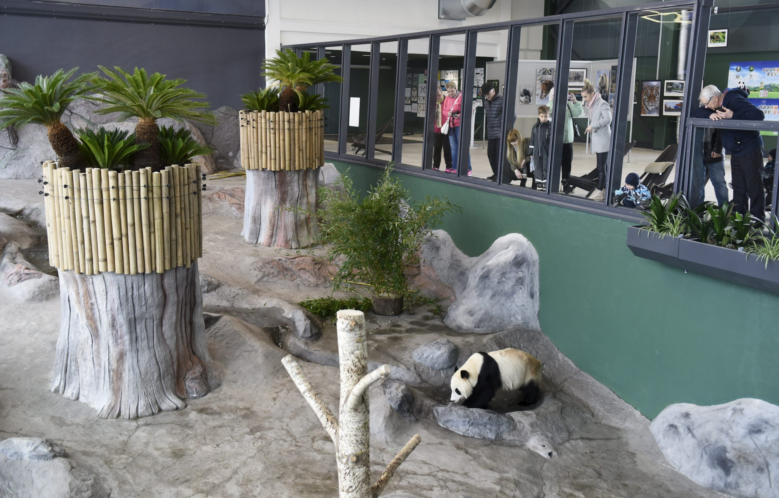 Ähtäri, Multia ja Virolahti joutuvat kehnon taloutensa takia arviointimenettelyyn