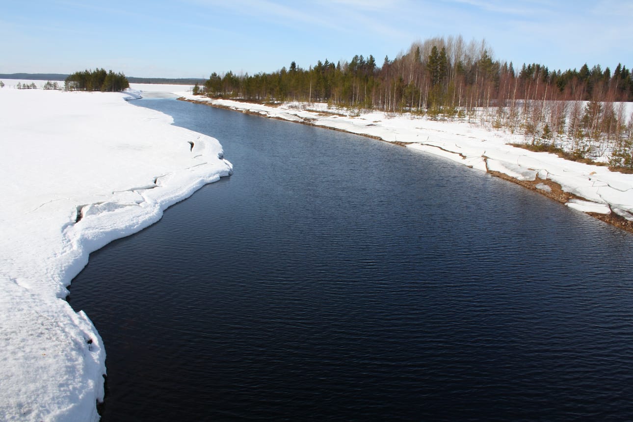 Jää on vielä laajalti pohjassa Riihisalmessa, joka sijaitsee Kuusamossa säännöstelyjen Irnijärven ja Polojärven välissä. Vedenpinta nousee tästä kahdessa kuukaudessa kolmisen metriä. Kuva on otettu viitostien sillalta Polojärven suuntaan.