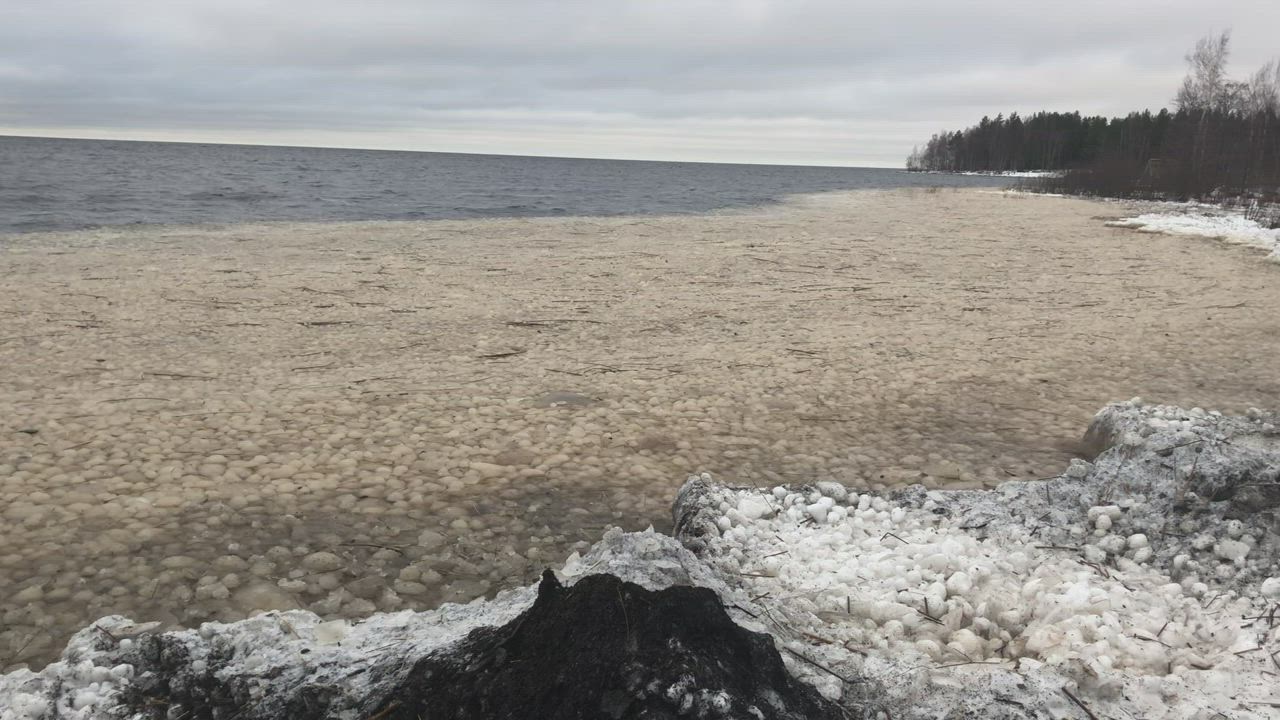 Martinniemen Kurtinhaudan Ukkolanrannassa jääpalloja meressä 22.11.2020.