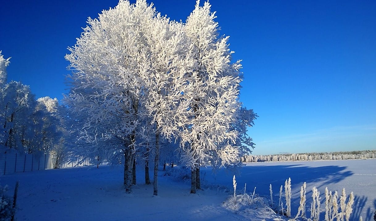 Joulukuun pakkaspäivä