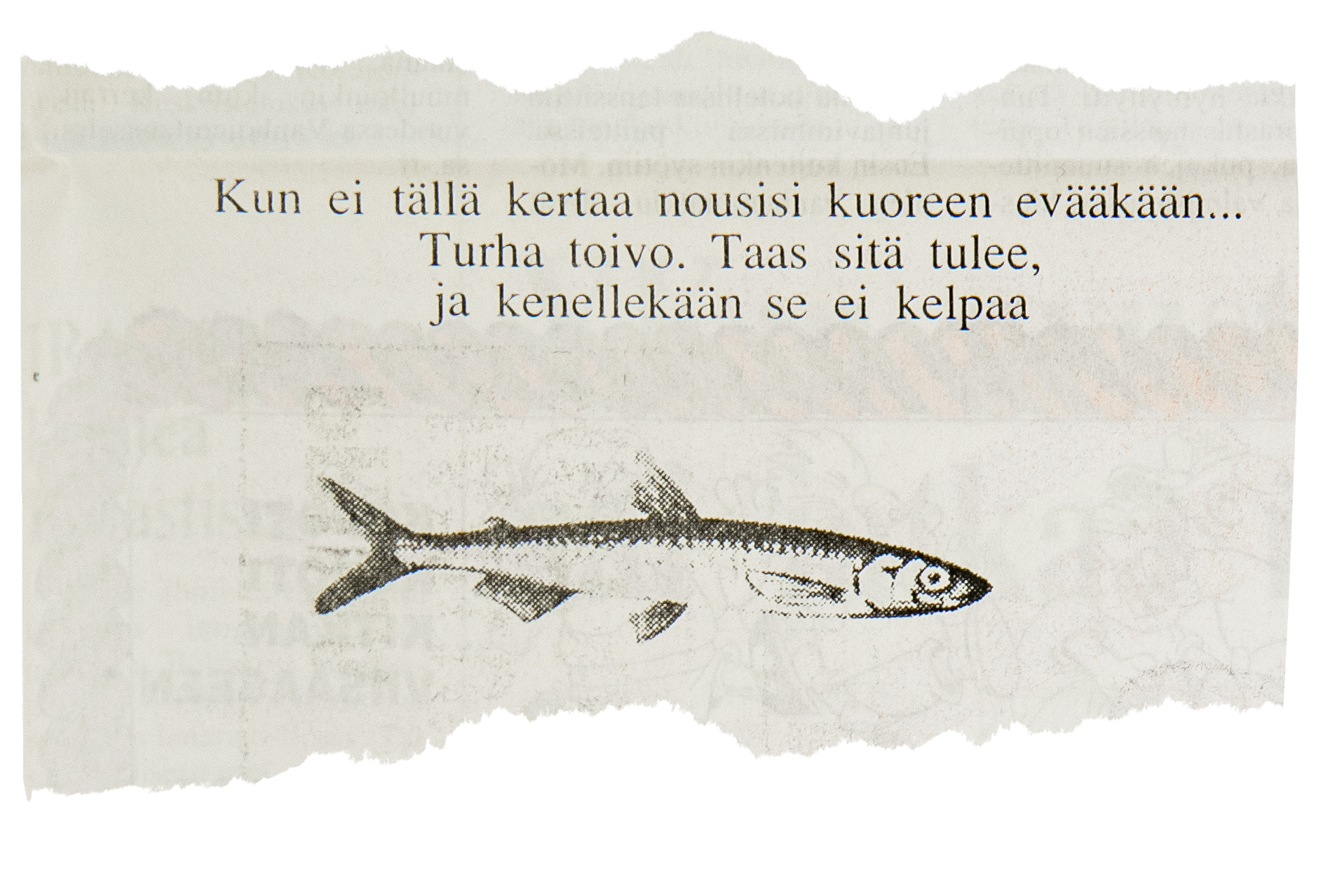 Mitä tehtäisiin Korvuanjärvestä nouseville norssitonneille – tiskirätille haisevan kuoreen kohtalo mietitytti vuonna 1993