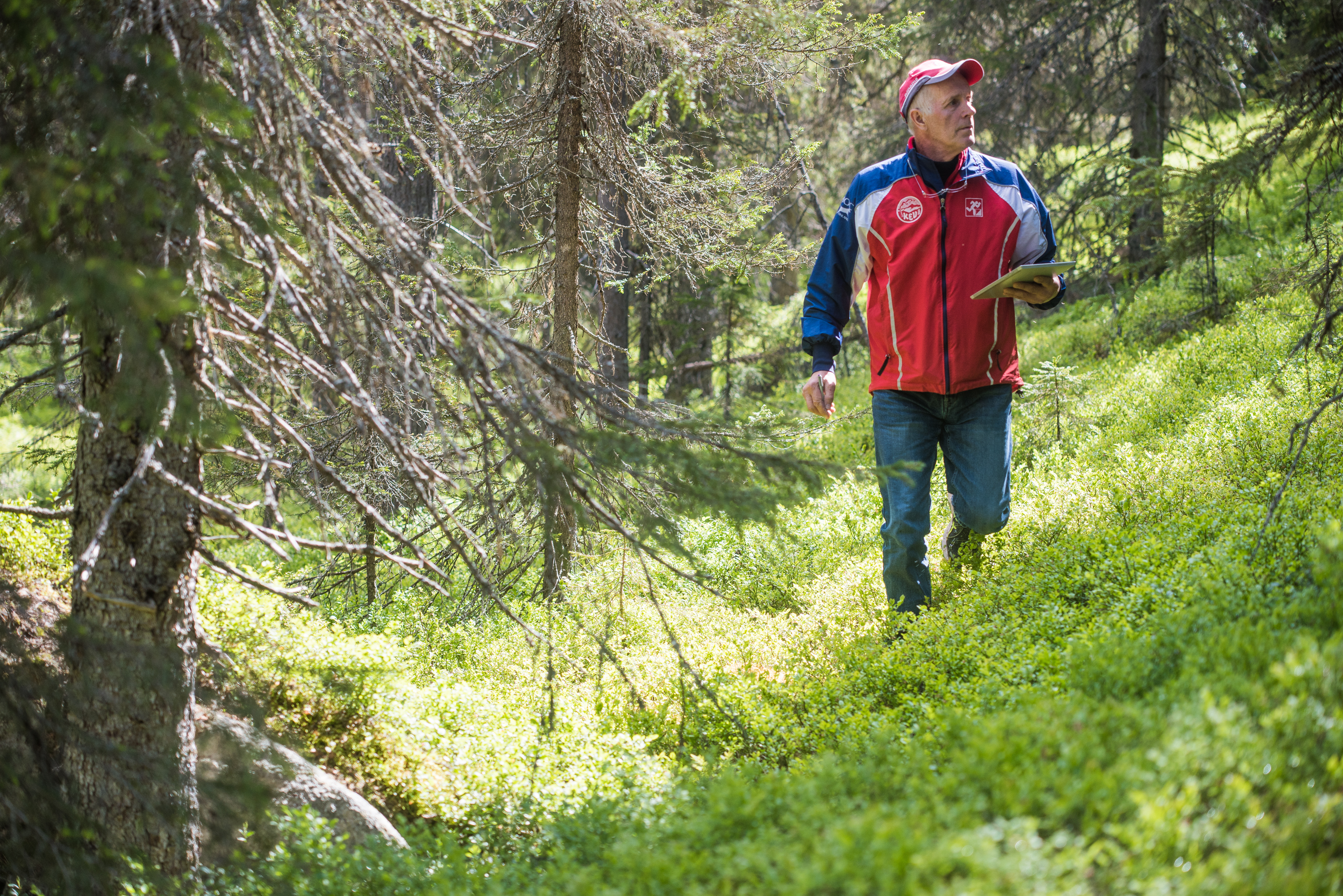 Tapio Tahkola voitti kokonaiskisan Kainuun Rastiviikolla. Kuvassa Tahkola kartoitushommissa Kuusamossa tänä kesänä.