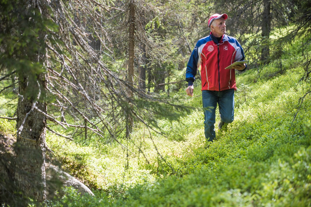 Tapio Tahkola voitti kokonaiskisan Kainuun Rastiviikolla. Kuvassa Tahkola kartoitushommissa Kuusamossa tänä kesänä.