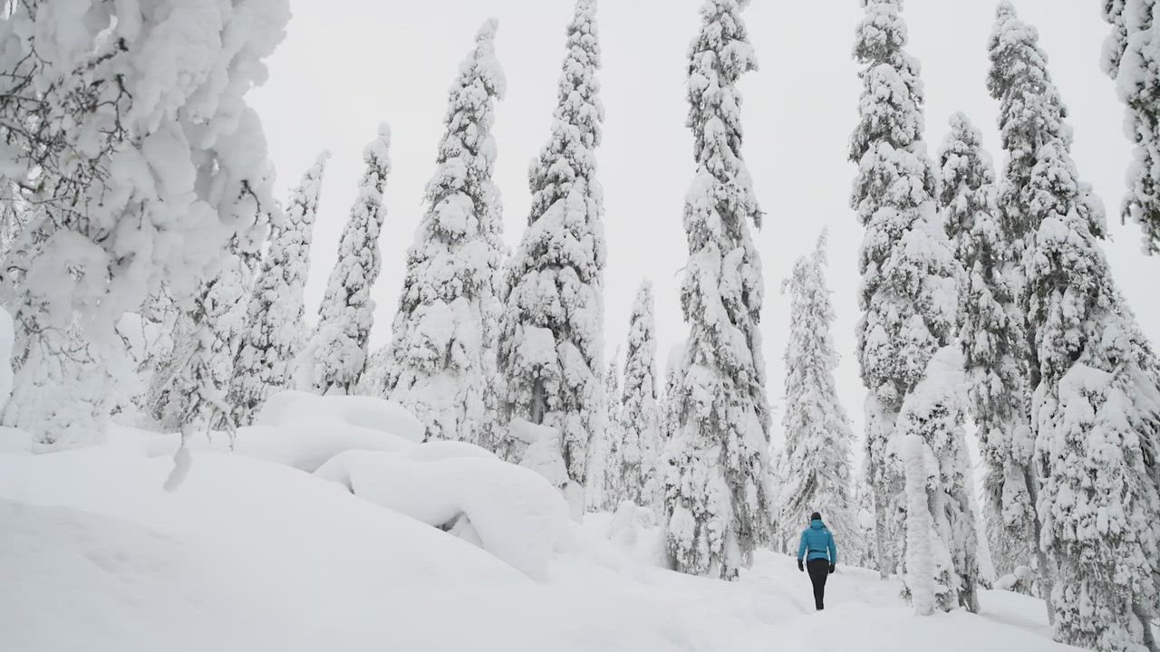 Eränkävijöitä tekevä Sina Riikonen paljastaa: "Minulla oli ennakkoluuloja metsästäjiä kohtaan"