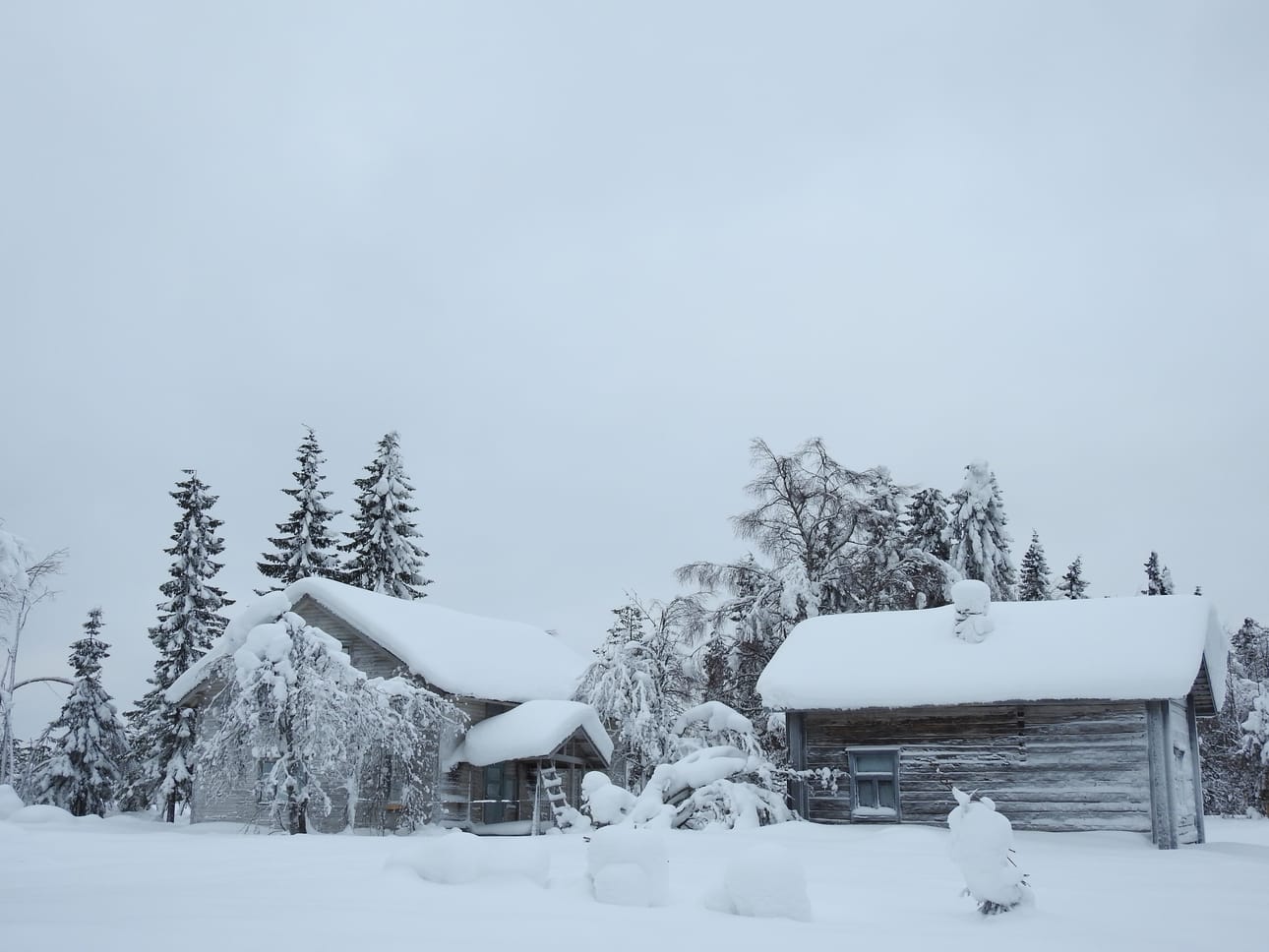 Pohjoisella pallonpuoliskolla on tänä vuonna riittänyt lumisateita.