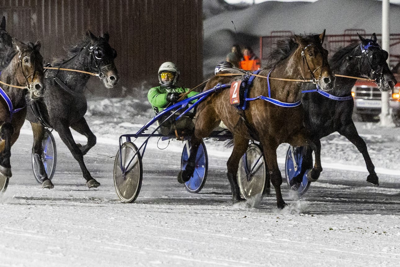 Niko Jokelan ohjastama Adde S.H. yllättää ensimmäisessä Toto75-lähdössä ja vie voiton.