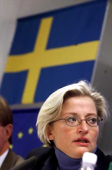 Anna Lindh surmattiin viime syyskuussa.