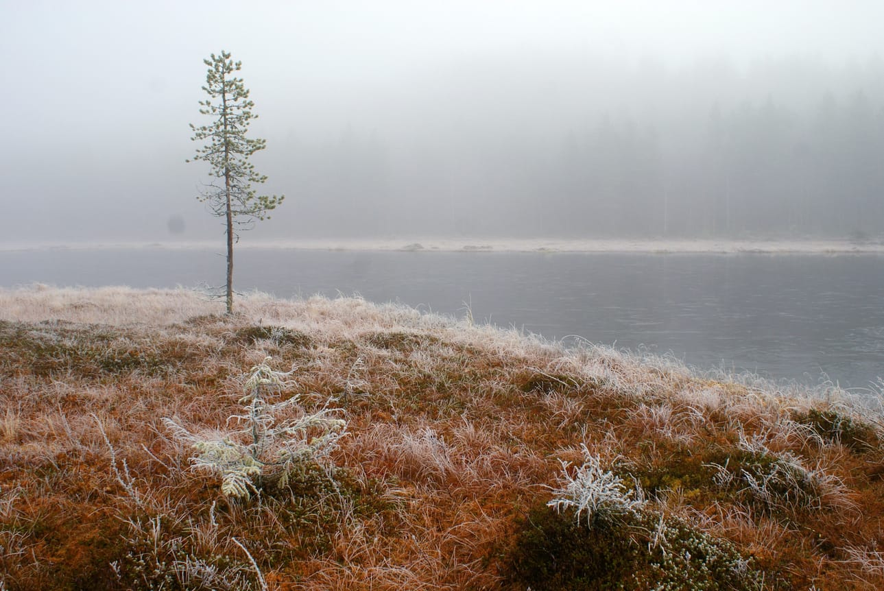 Vielä ei kuitenkaan olla syksyn puolella.