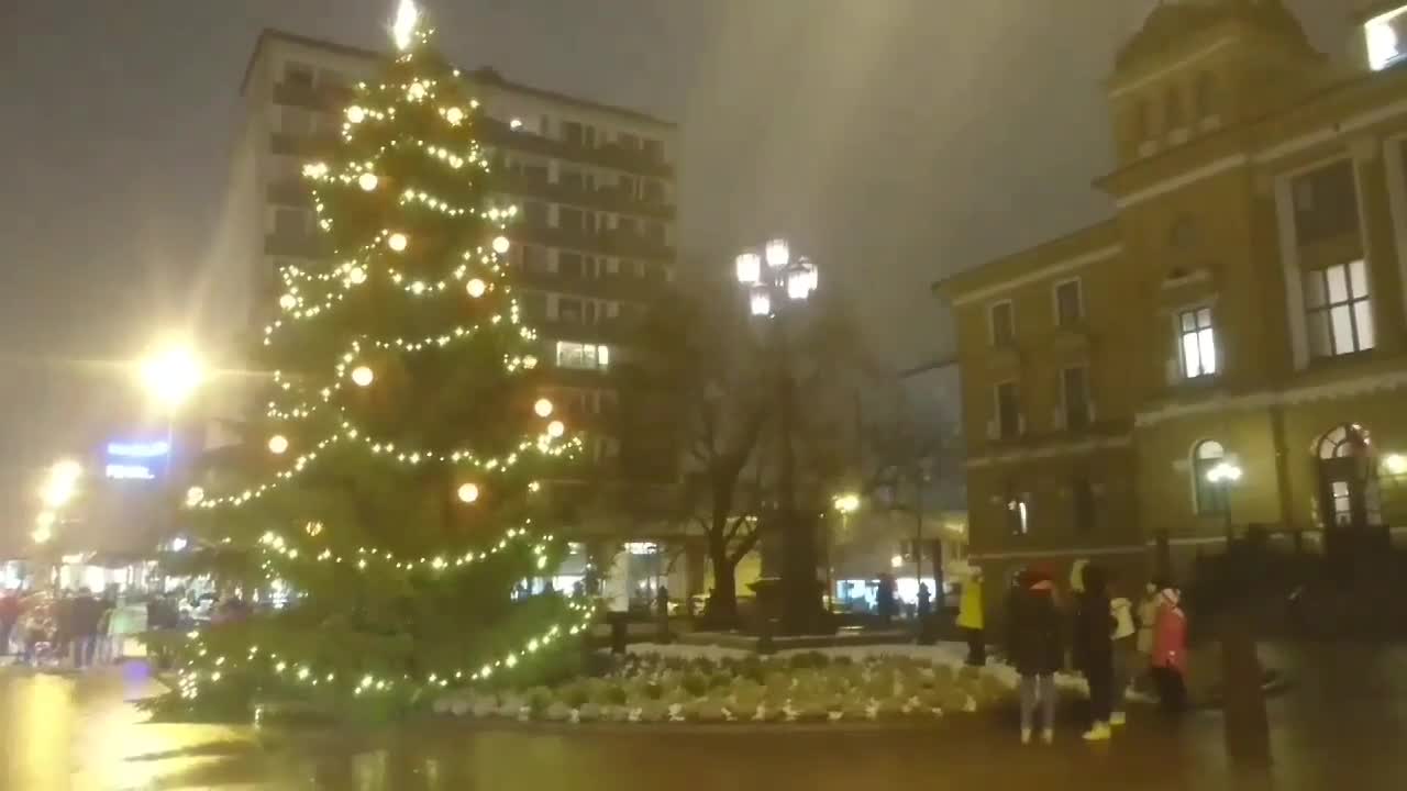 Kaupungintalon joulukuusen valot syttyvät