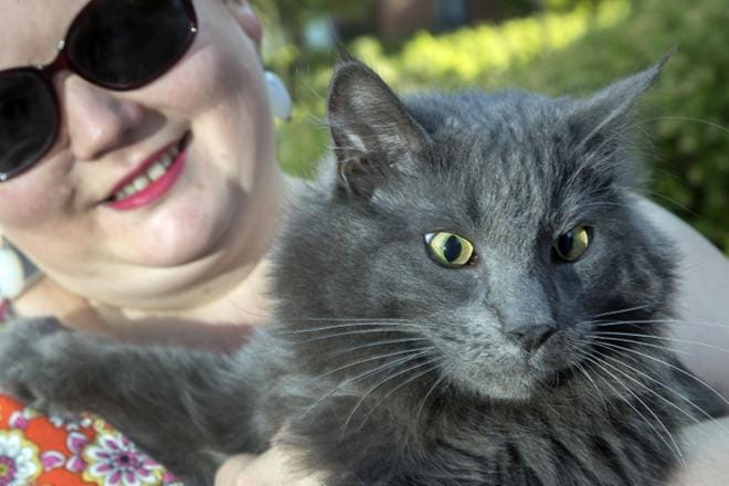 Ransu-kissa sai virheellisen diabetes-diagnoosin. Turhan insuliinin pistäminen olisi johtanut sen kuolemaan, ellei sen omistaja Kaisa Heino olisi vienyt sitä toiselle eläinlääkärille.