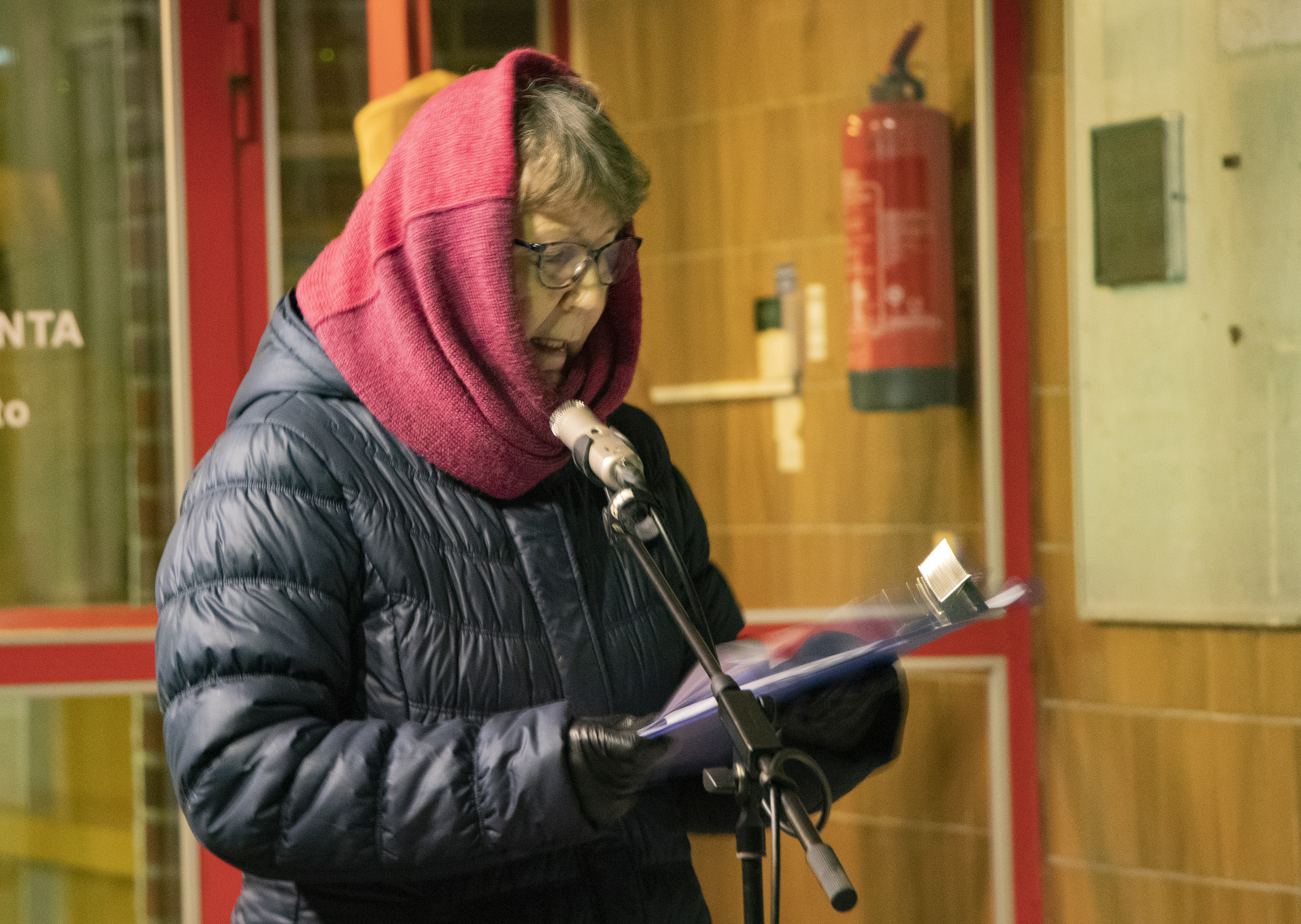 Piippolan kyläyhdistyksen puheenjohtaja Katja Haaraniemi kertasi puheessaan kotikylällä vuoden varrella olleita tapahtumia, joissa yhdistyskin on ollut mukana.