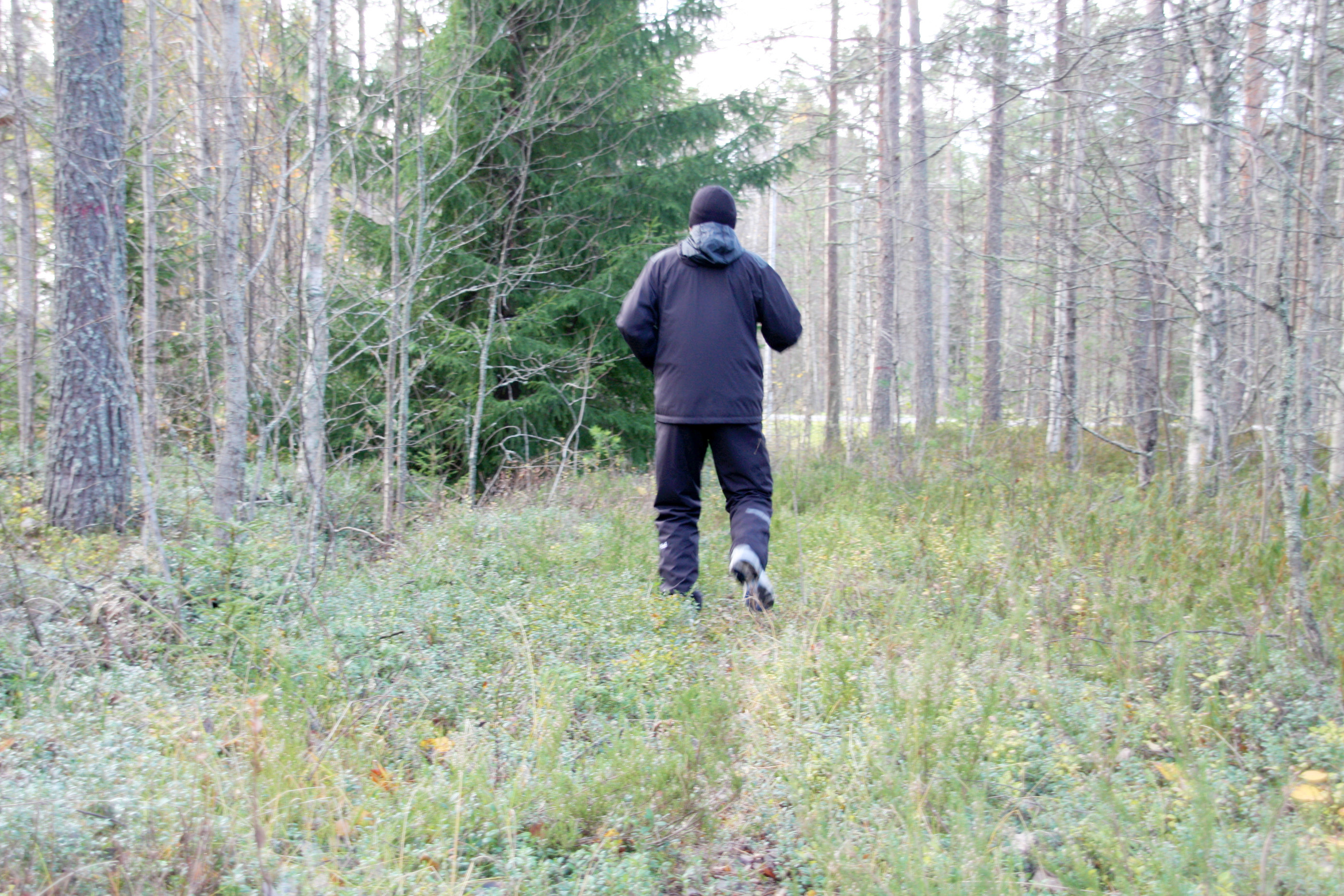 Siikajokilaakson kuntoilutempaus järjestetään jo 11. kerran – neljän viikon mittainen haaste starttaa tänään