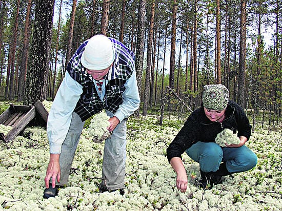 Eve Ritsberg ja Niina Poslina.