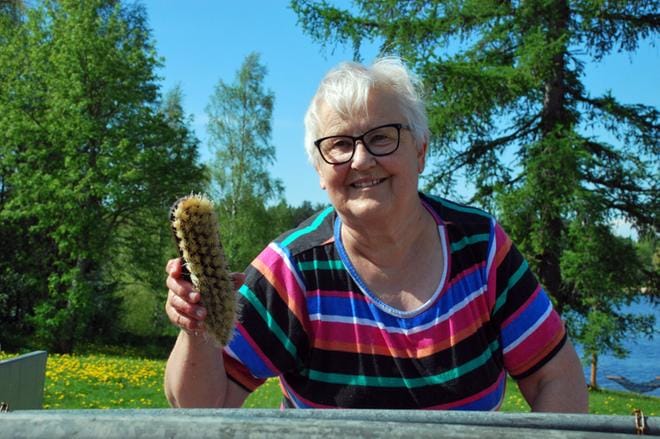 Paluumuuttaja Anja Lehtonen käsitteli matonpesuharjaa ammattilaisen ottein. KUVAT: MINNA HIIRONEN