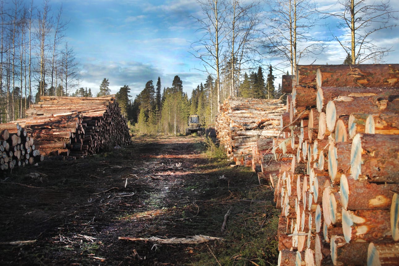 Arkistokuva.
