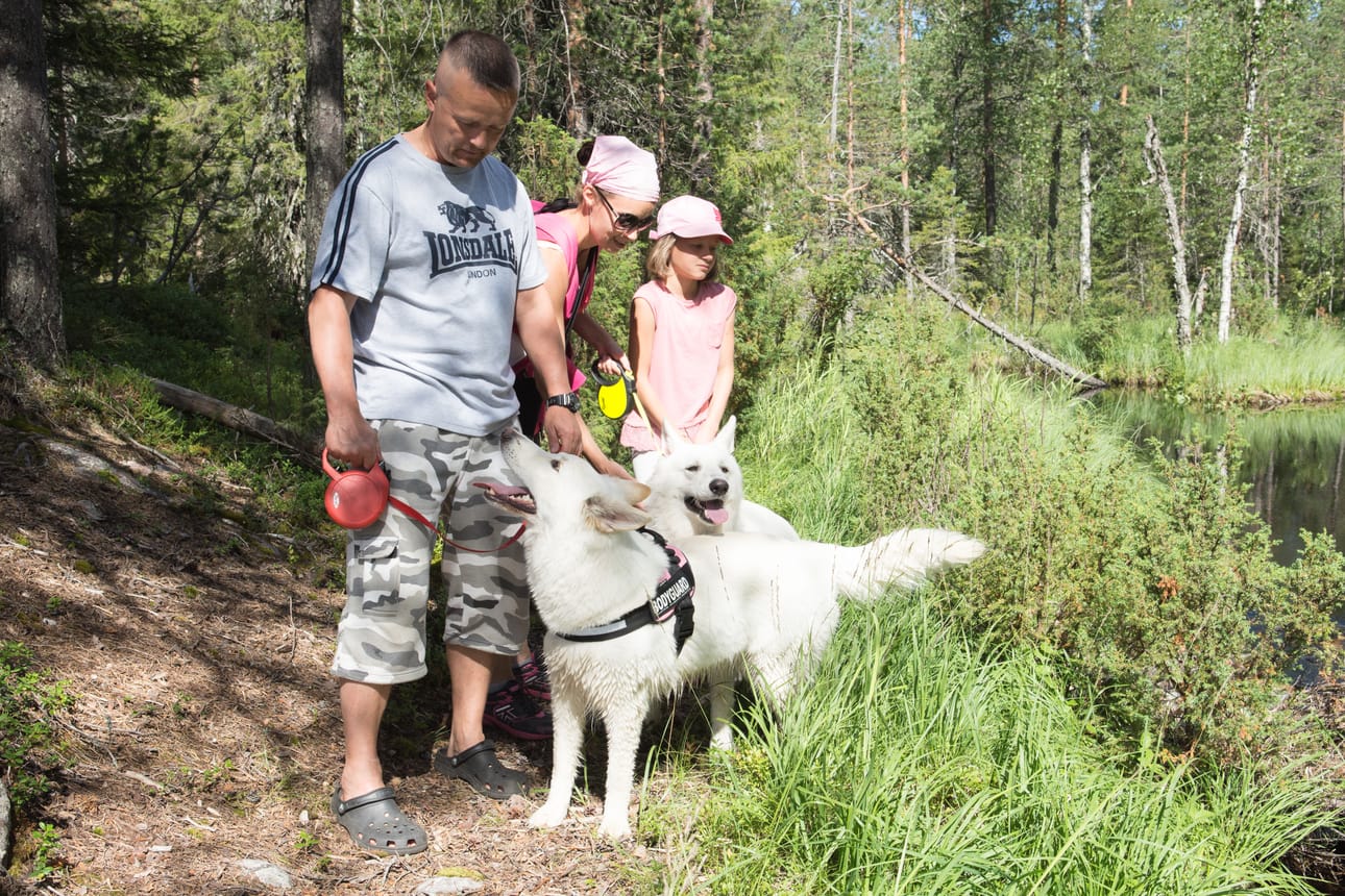 Jukka Nykulla, Sari Mykkänen ja Milla Mykkänen nauttivat Posion luonnosta koiriensa Sallan ja Hukan kanssa.