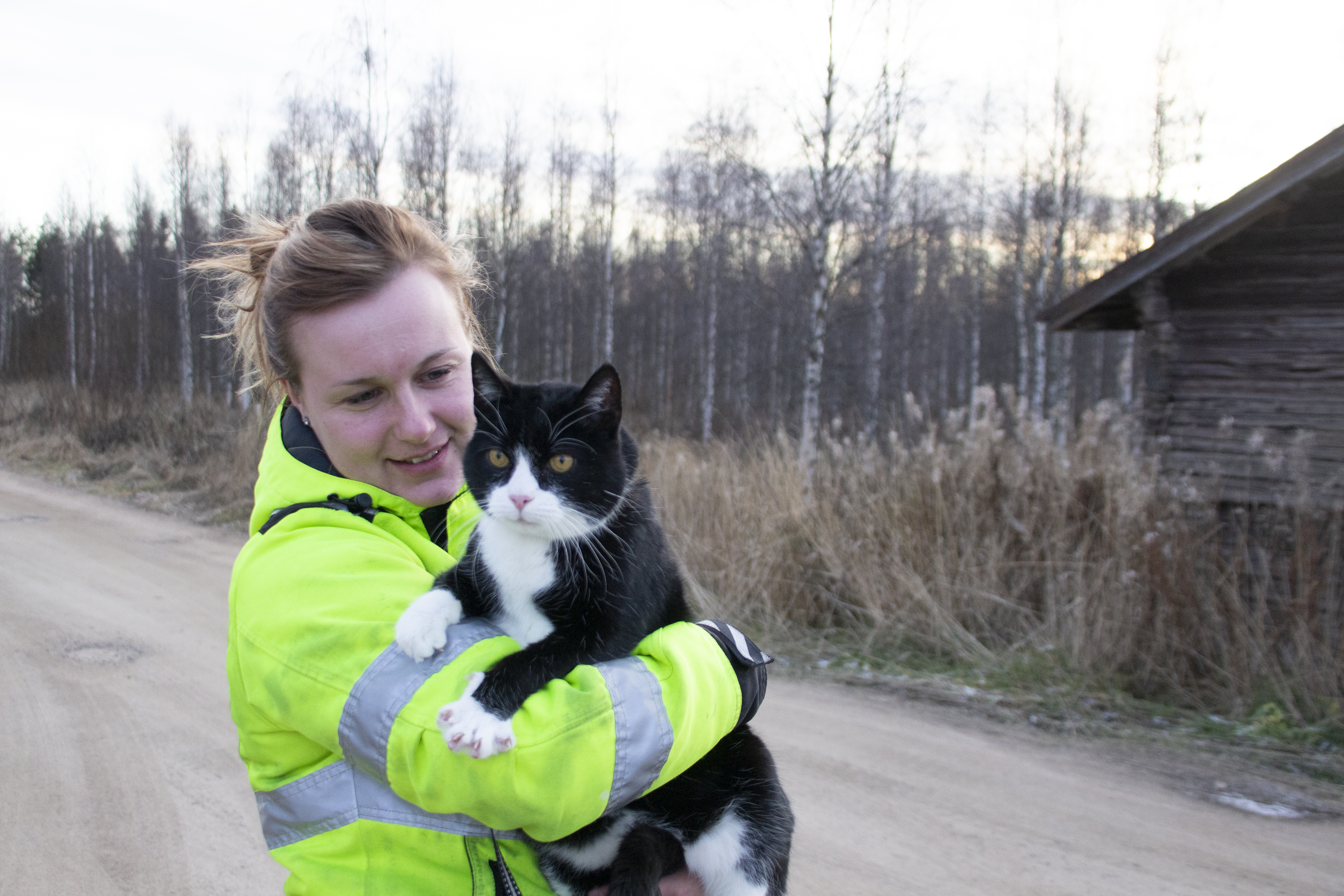 Pulkkilan koirahoitolan eläintenhoitaja Oona Koskela on huolissaan silloin tällöin ilmi tulevista kissapopulaatioista. Hoitolassa hoidettavana oleva Töppönen ulkoilee valjaissa. Kissaa ei saisi päästää koskaan vapaasti ulkoilemaan. 