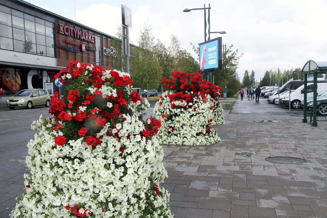 Tornion Rajalla-kauppakeskuksen edustalla kukkivat pelargoniat ja riippupetuniat.