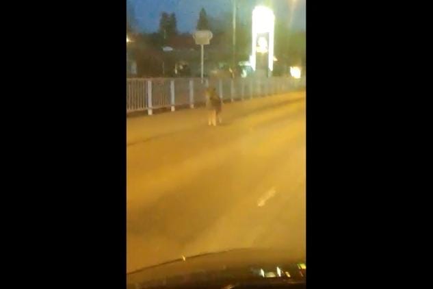 Kuvakaappaus videolta.