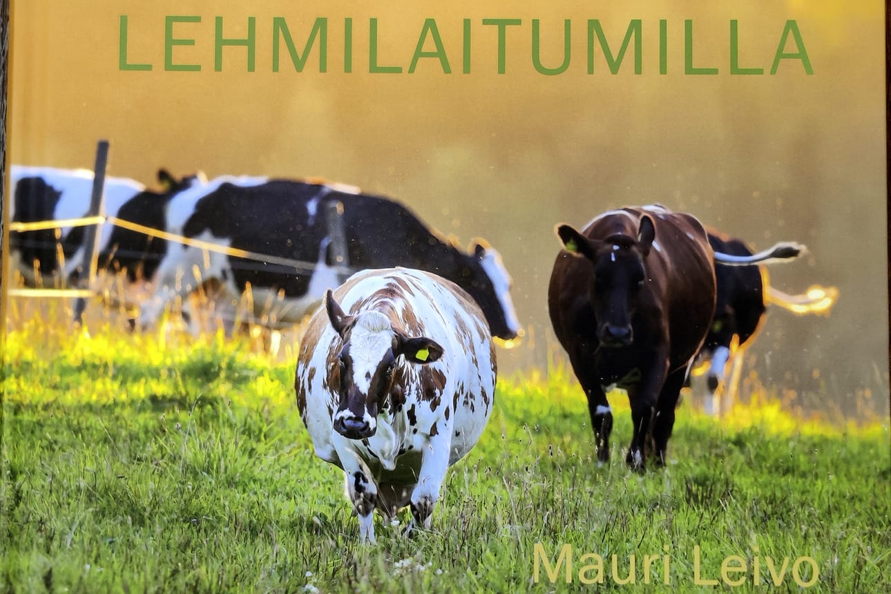 Biologi ja luontokuvaaja Mauri Leivo on kuvannut lehmiä yli kaksi vuosikymmentä. Lehmilaitumilla on paitsi valokuvateos myös kirja, josta löytyy huomattava määrä yllättävää tietoa lehmistä.