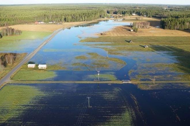 Pelloille tulvinutta vettä Ribäckenin alueella Maalahdenjoella tiistaina 3. marraskuuta. Kuva: Ely-keskus