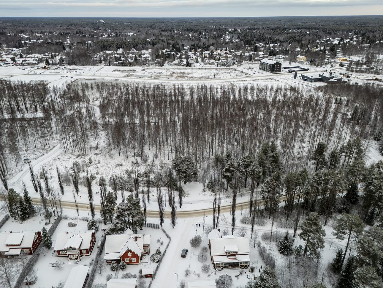 Sahantielle Pateniemeen on rakenteilla uusi kortteli. Tontilla on tällä hetkellä enimmäkseen nuorta koivikkoa.
